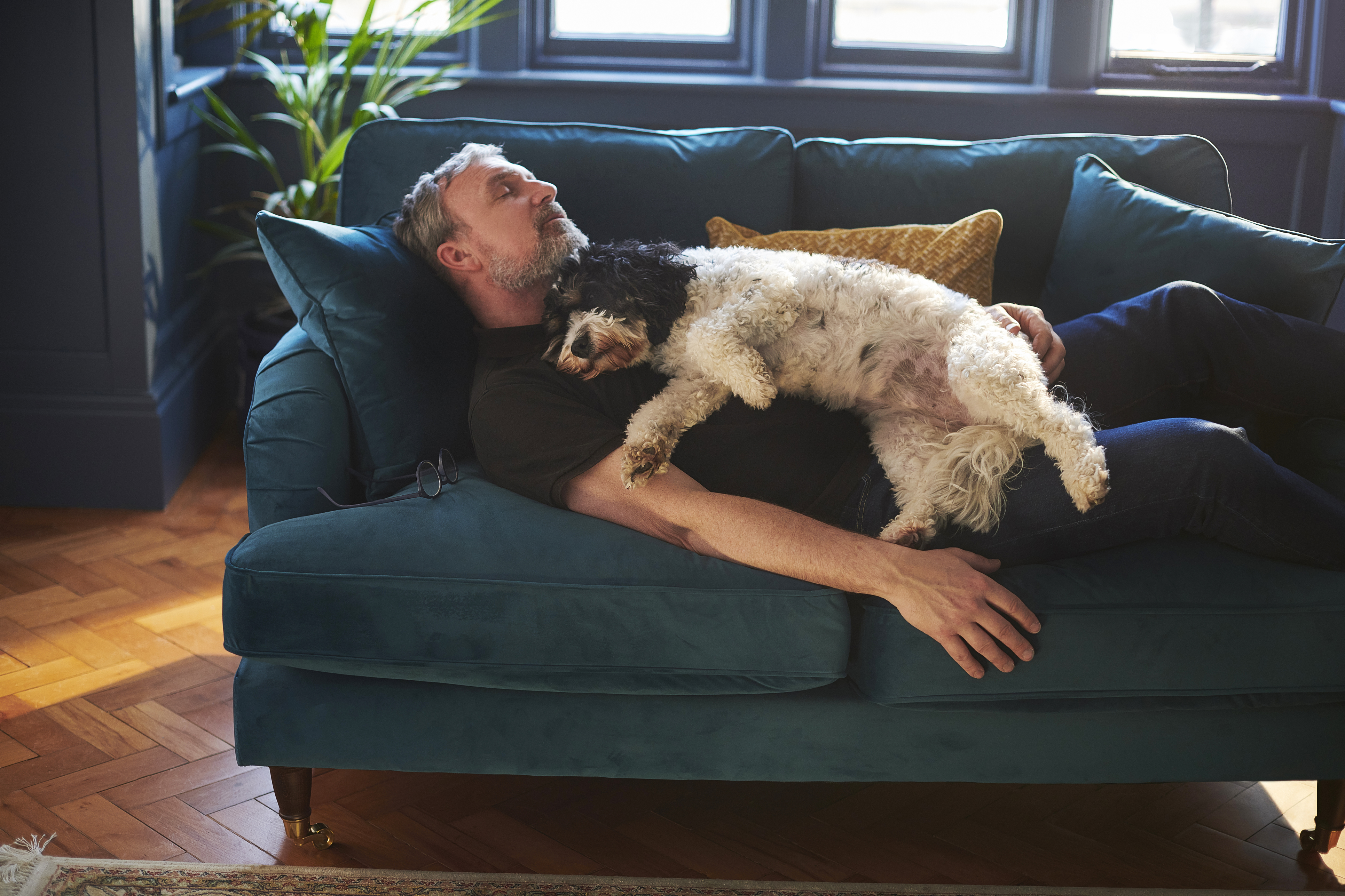 iStock-1309758830.jpg